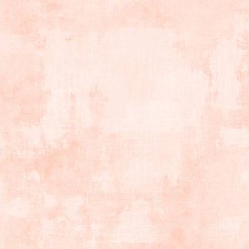 Essentials Dry Brush Pale Apricot
