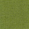 IVY by Carolyn Friedlander from Jetty