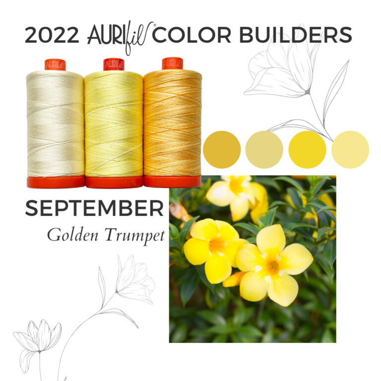 Aurifil 2022 Color Builders - Thread Club **start anytime** – Red Thread  Studio